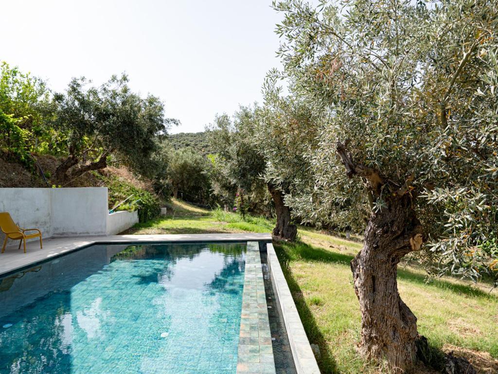 Dohos Skiathos Suites Ksanemos Exteriér fotografie